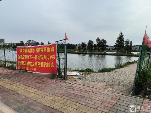 李哥垂钓基地钓点与钓场环境照片