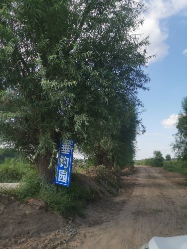 孤山套垂钓园钓场环境照片