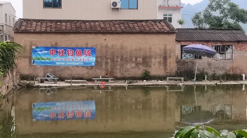 中社钓鱼场钓场环境照片