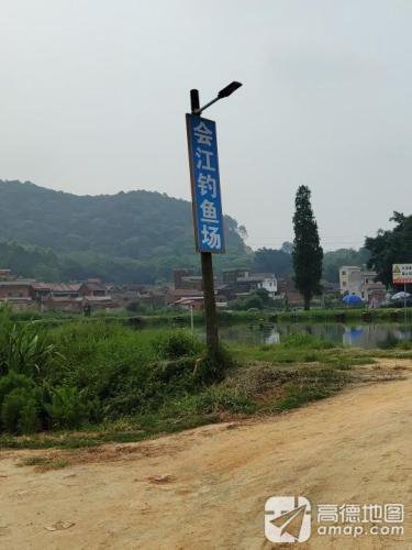 会江钓鱼场钓点与钓场环境照片