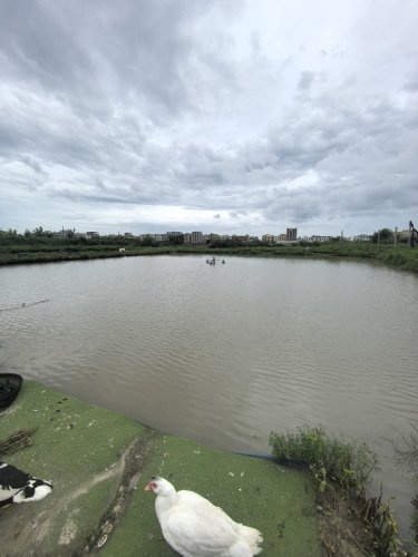 练北钓鱼场钓点与钓场环境照片