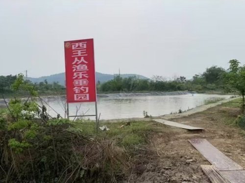 西王从渔乐垂钓园钓点与钓场环境照片