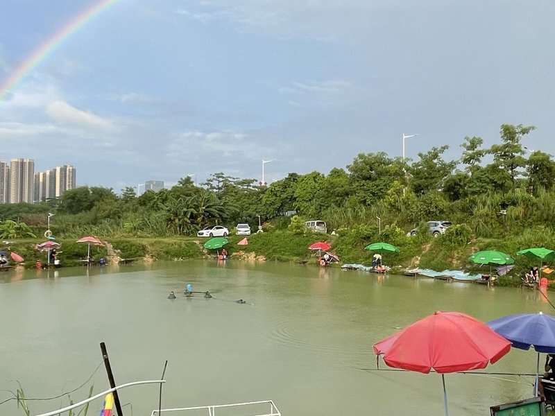 五羊垂钓园钓点与钓场环境照片