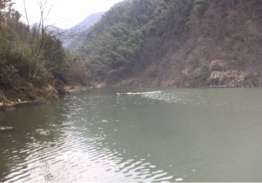 大坑坞垂钓钓点与钓场环境照片
