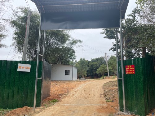 碧水钓场钓点与钓场环境照片