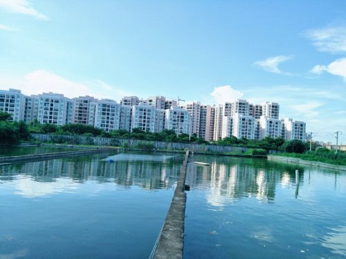北海快乐垂钓场钓场环境照片