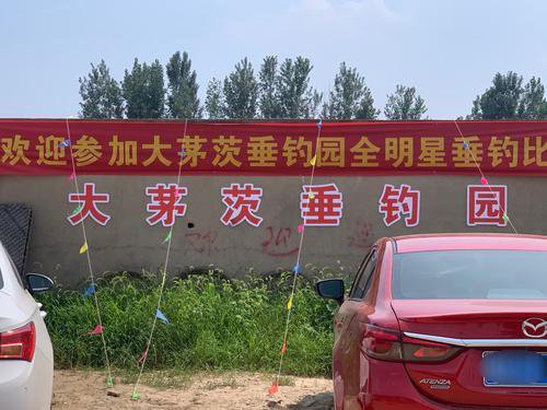 大茅茨生态垂钓园钓点与钓场环境照片