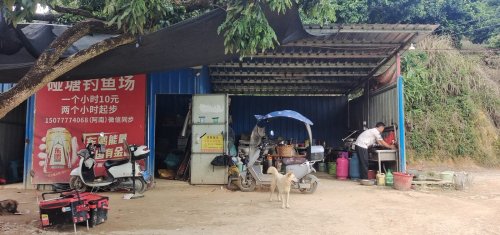 碰塘钓鱼场钓场环境照片