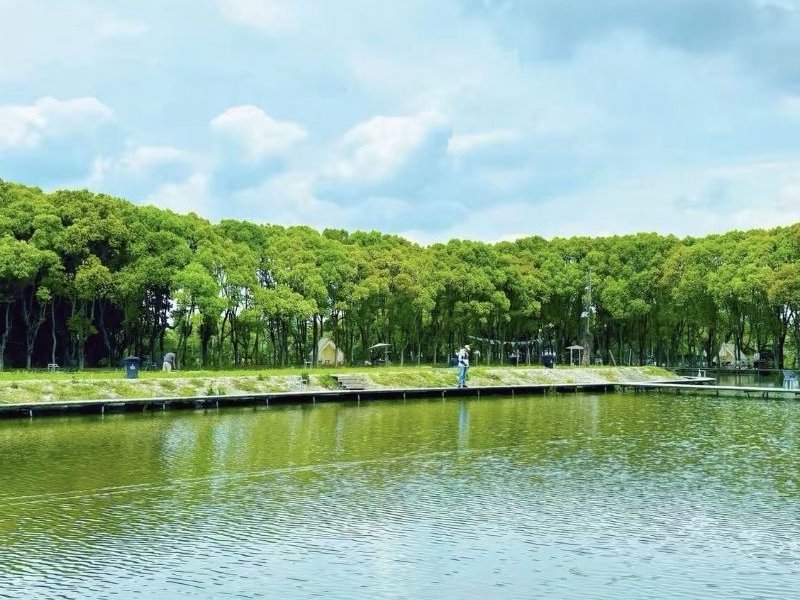 嘉年华巨鳡乐园钓场钓点与钓场环境照片