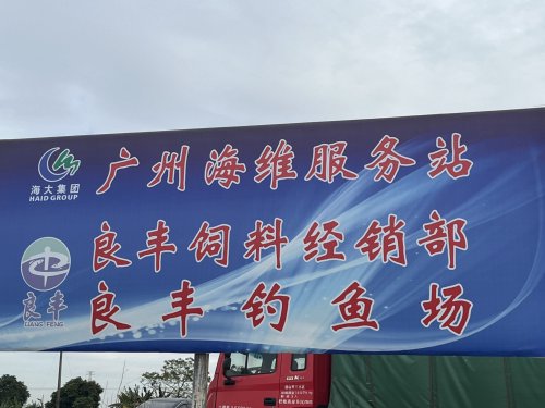 良丰钓鱼场钓点与钓场环境照片