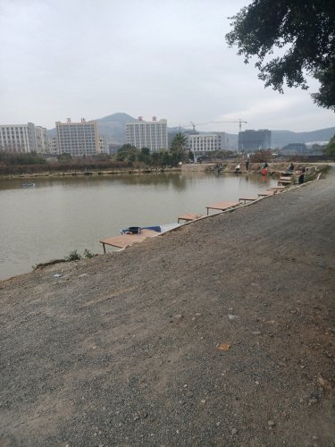 寒江独钓休闲垂钓园钓场环境照片