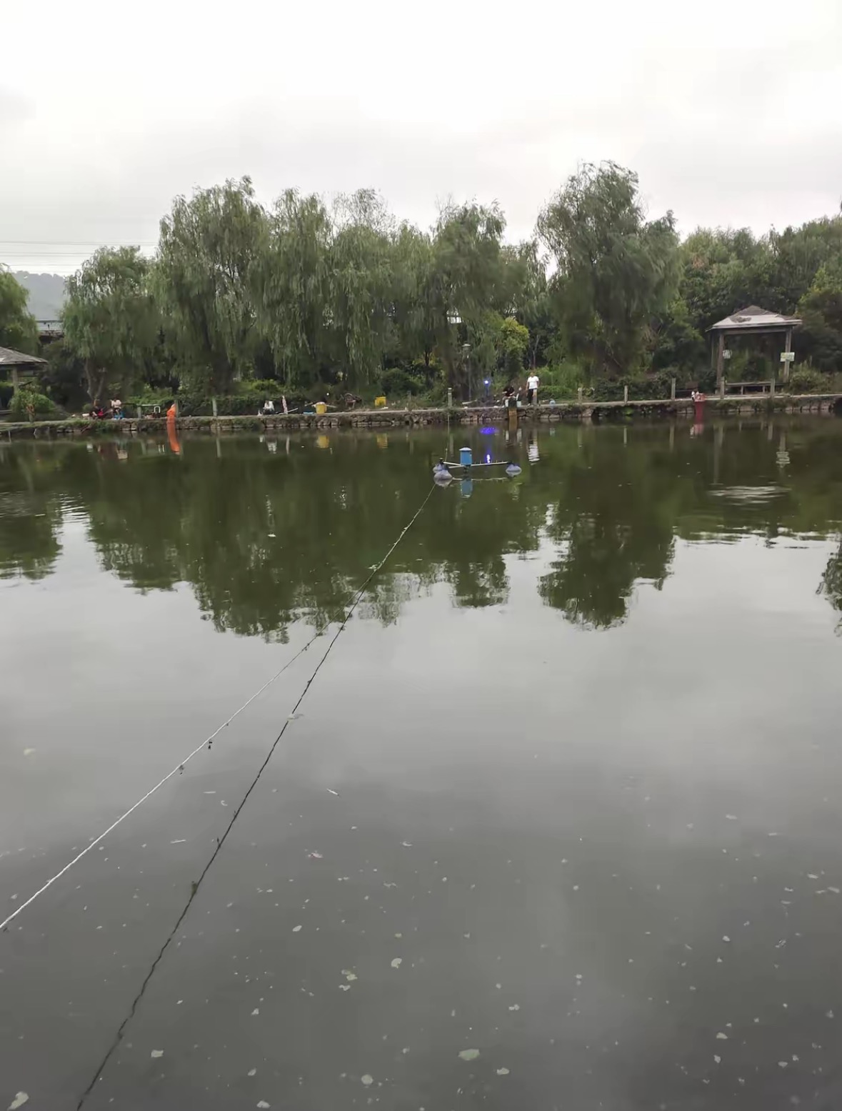 丁山钓鱼垂钓中心钓场环境缩略图