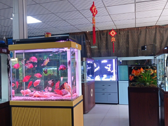 丁丁渔具水族渔具店门店照片