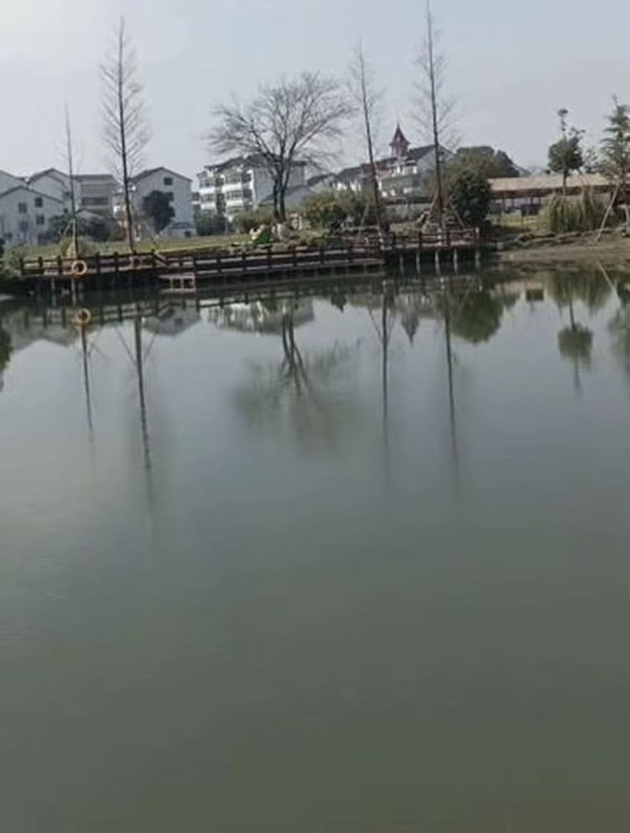 塘泾洋垂钓中心钓场环境缩略图
