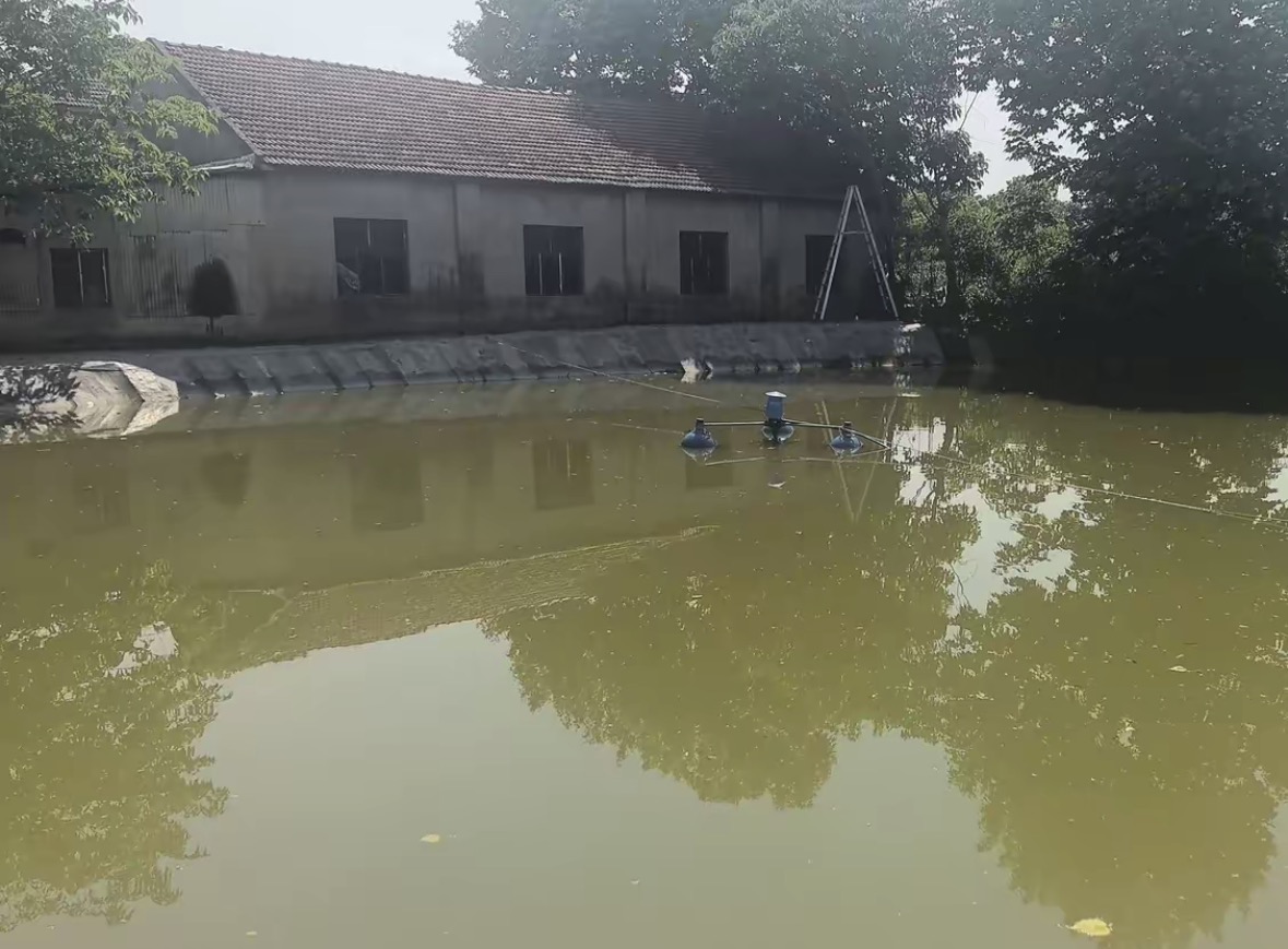 清水湾钓场钓场环境缩略图