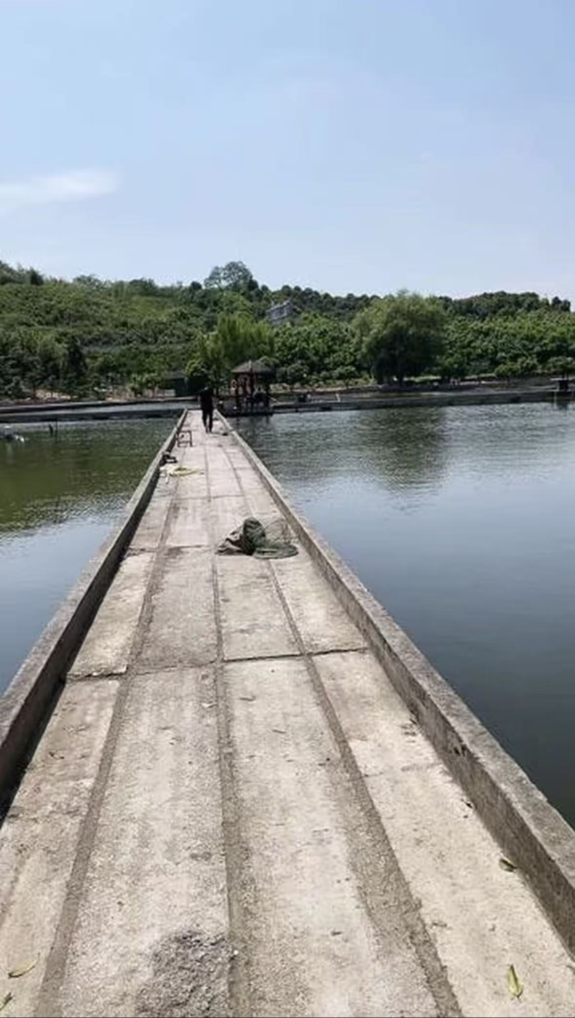 杨梅湾农场钓场环境缩略图