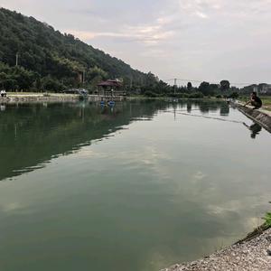 禾风生态垂钓园钓点与钓场环境照片