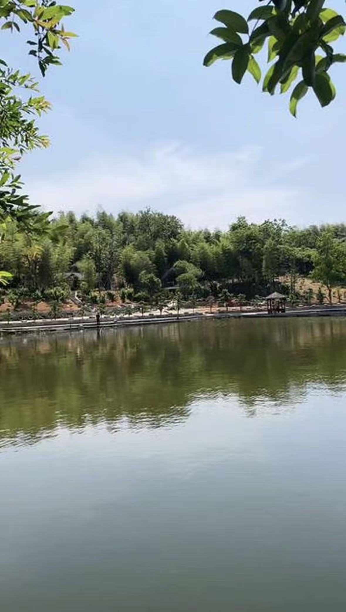 杨梅湾农场钓场环境缩略图