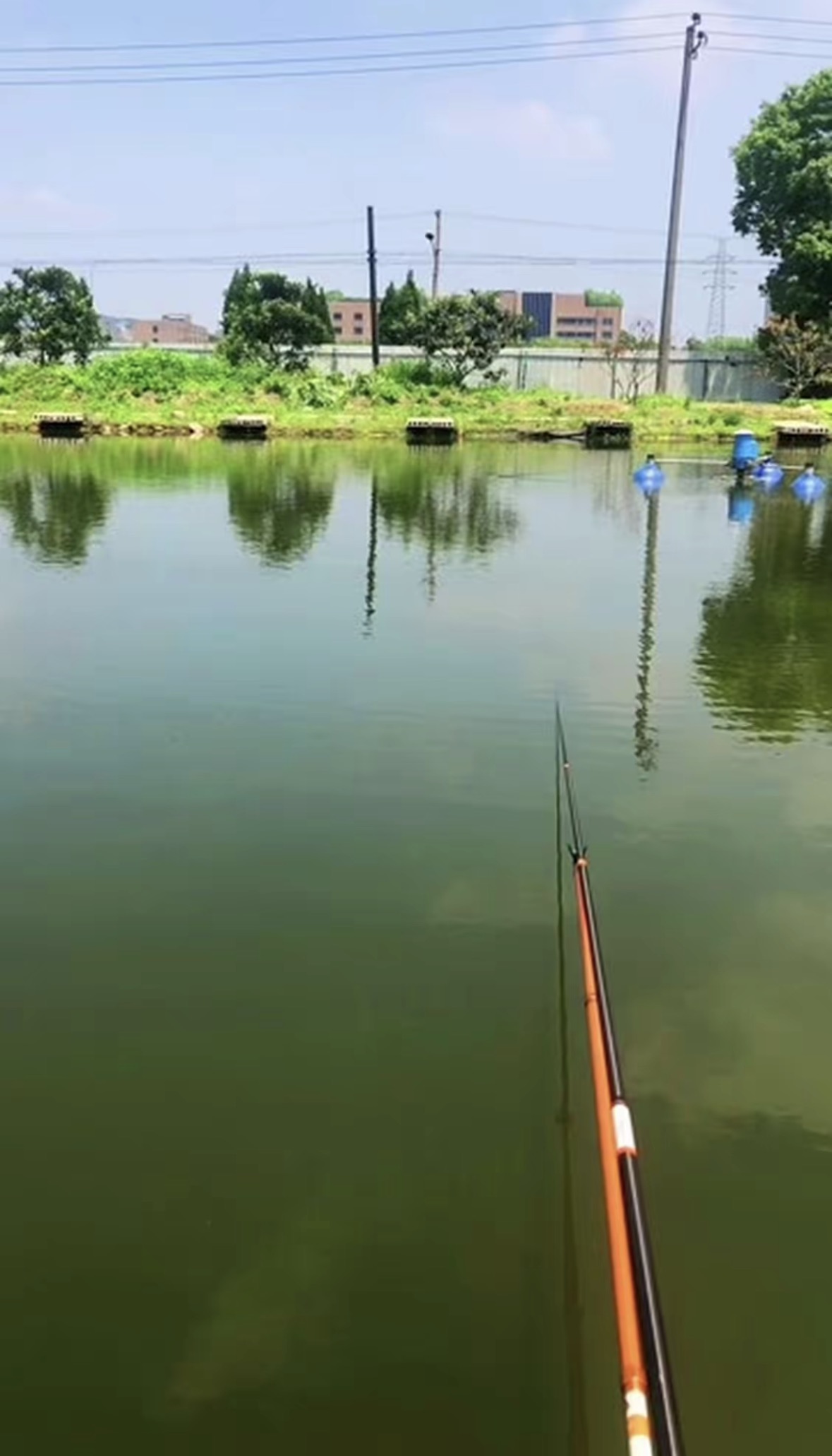 丁山钓鱼垂钓中心钓场环境缩略图