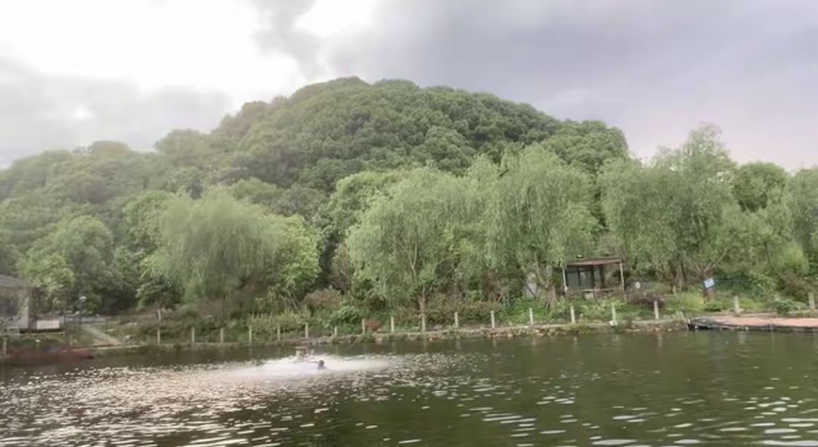 丁山钓鱼垂钓中心钓场环境缩略图