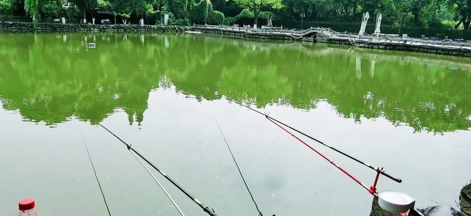 水上娱乐垂钓中心钓场环境缩略图