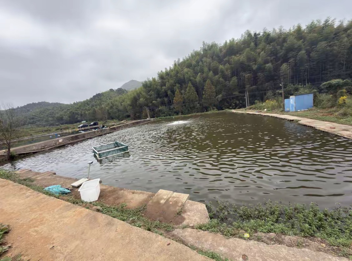 杭州余杭区百丈镇玖捌伍垂钓园钓场环境缩略图