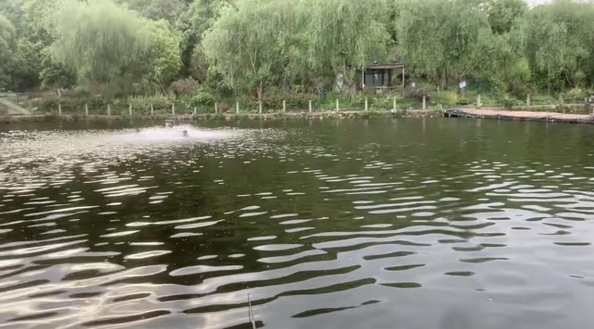 丁山钓鱼垂钓中心钓场环境缩略图