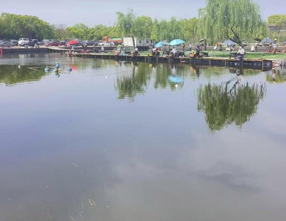 绿色江南钓场钓场环境缩略图