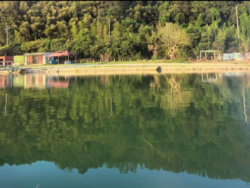 禾风生态垂钓园钓场环境缩略图