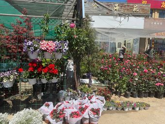 花鸟鱼虫渔具渔具店门店照片