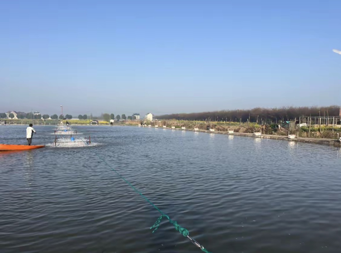 嘉兴好运来垂钓园钓场环境缩略图