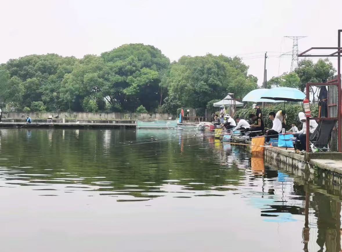 光头垂钓园钓场环境照片