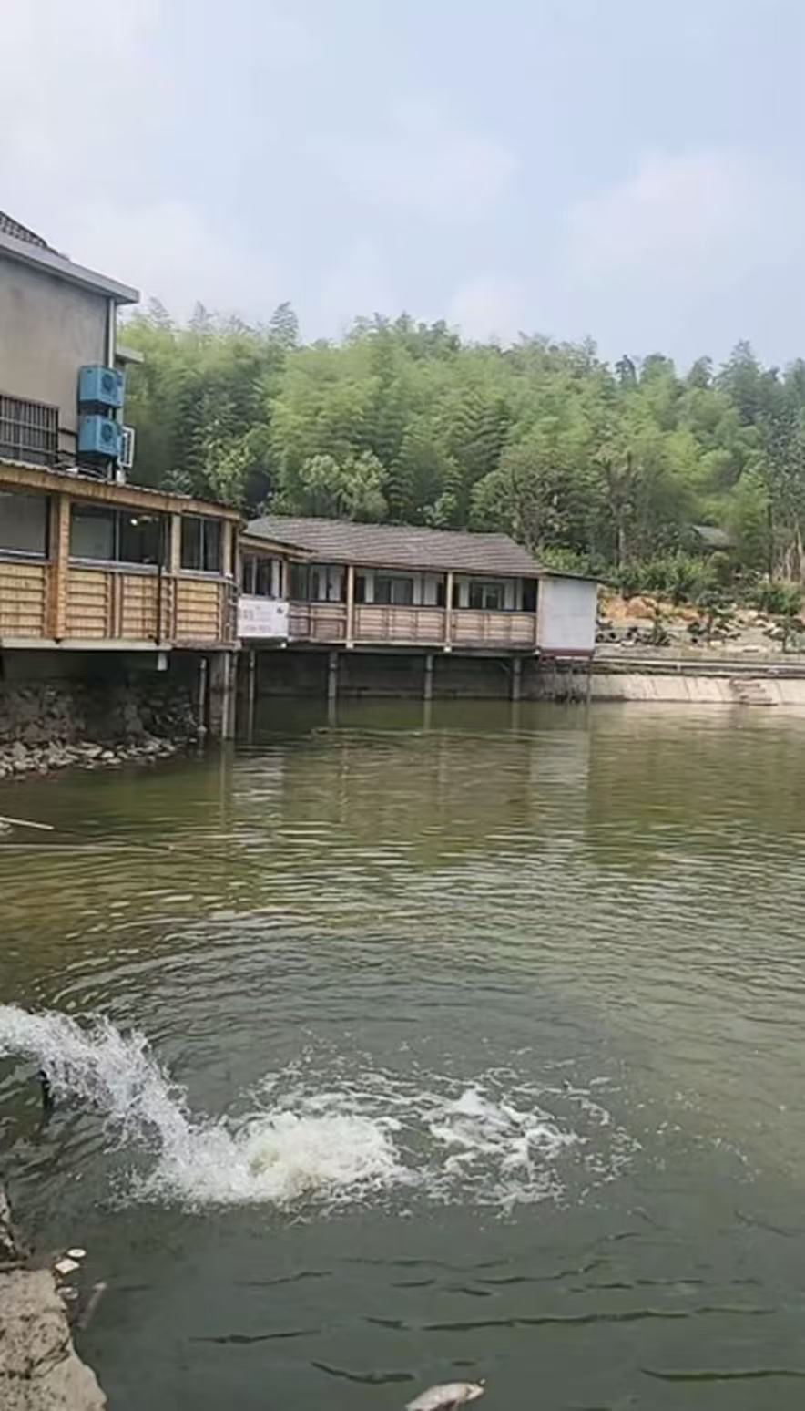 杨梅湾农场钓场环境缩略图