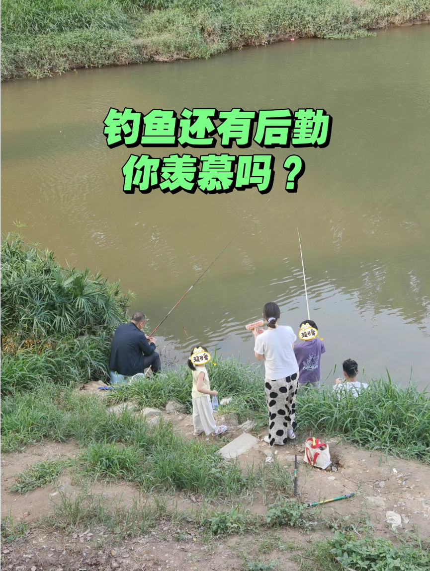 城西姜太公分享的鱼情、钓点与渔获 城西姜太公的真实钓鱼渔获图片 4