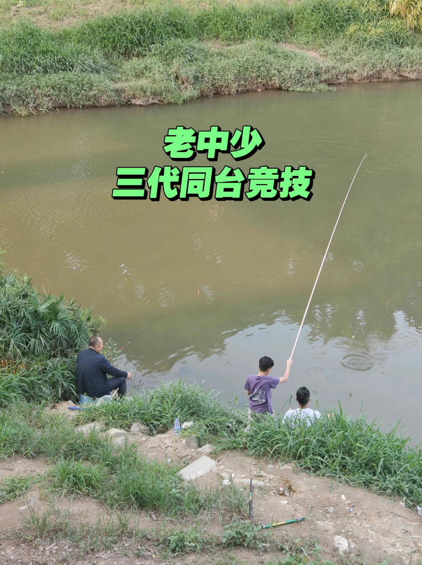 城西姜太公分享的鱼情、钓点与渔获 城西姜太公的真实钓鱼渔获图片 2