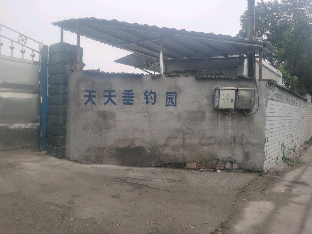 天天垂钓园钓点与钓场环境照片