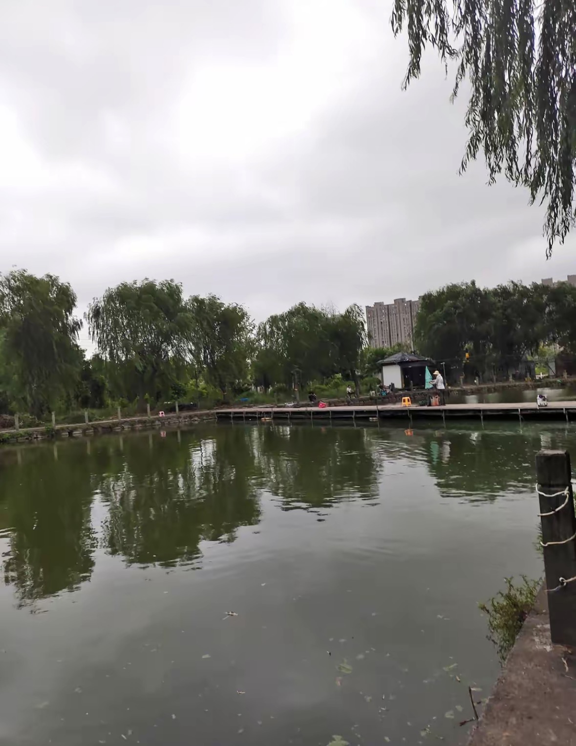 丁山钓鱼垂钓中心钓点与钓场环境照片
