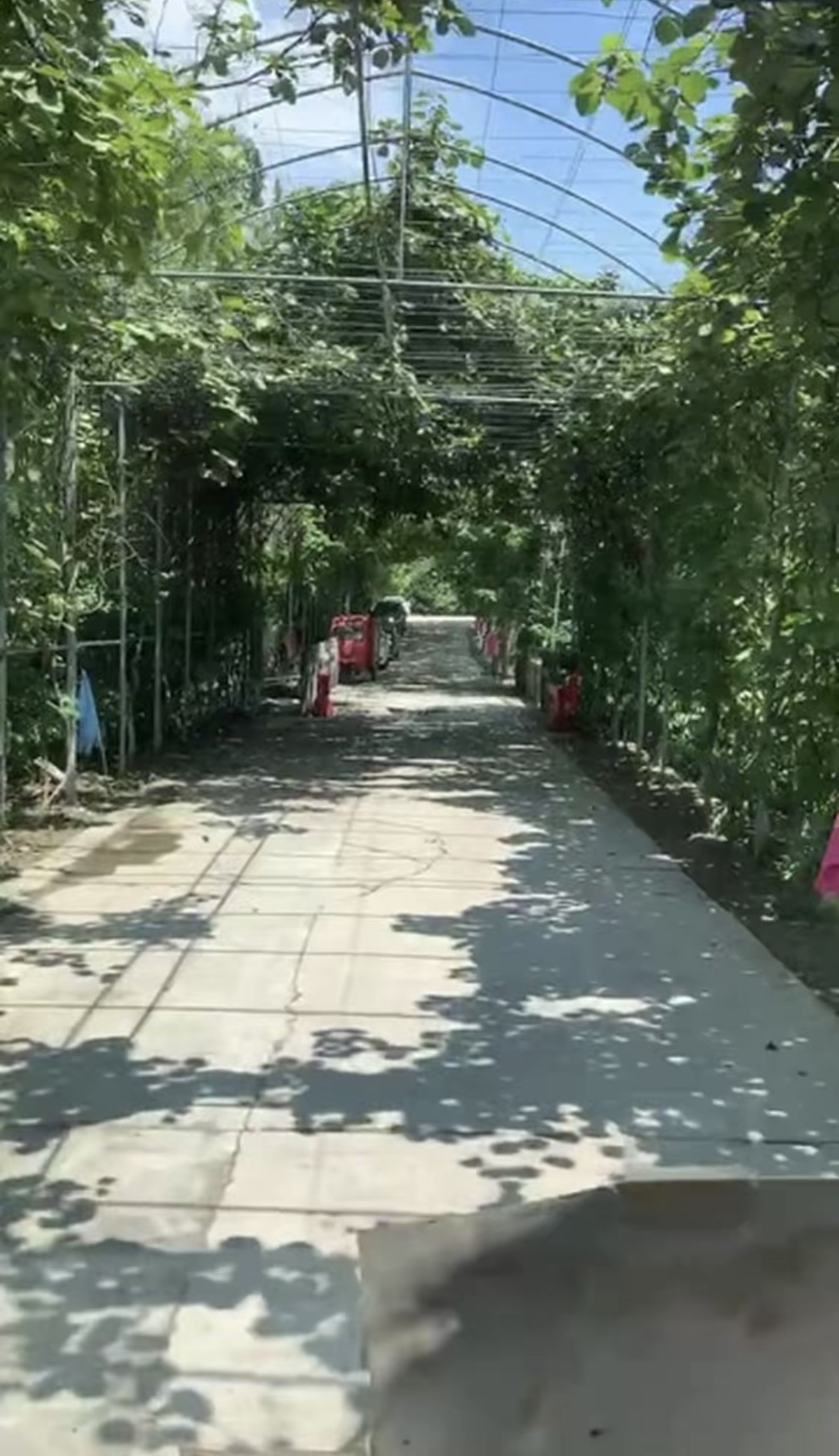 钱帅农场钓场环境缩略图