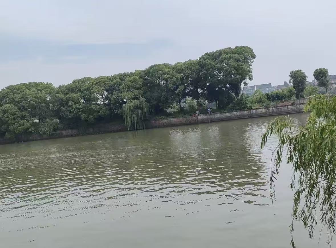 塘泾洋垂钓中心钓点与钓场环境照片