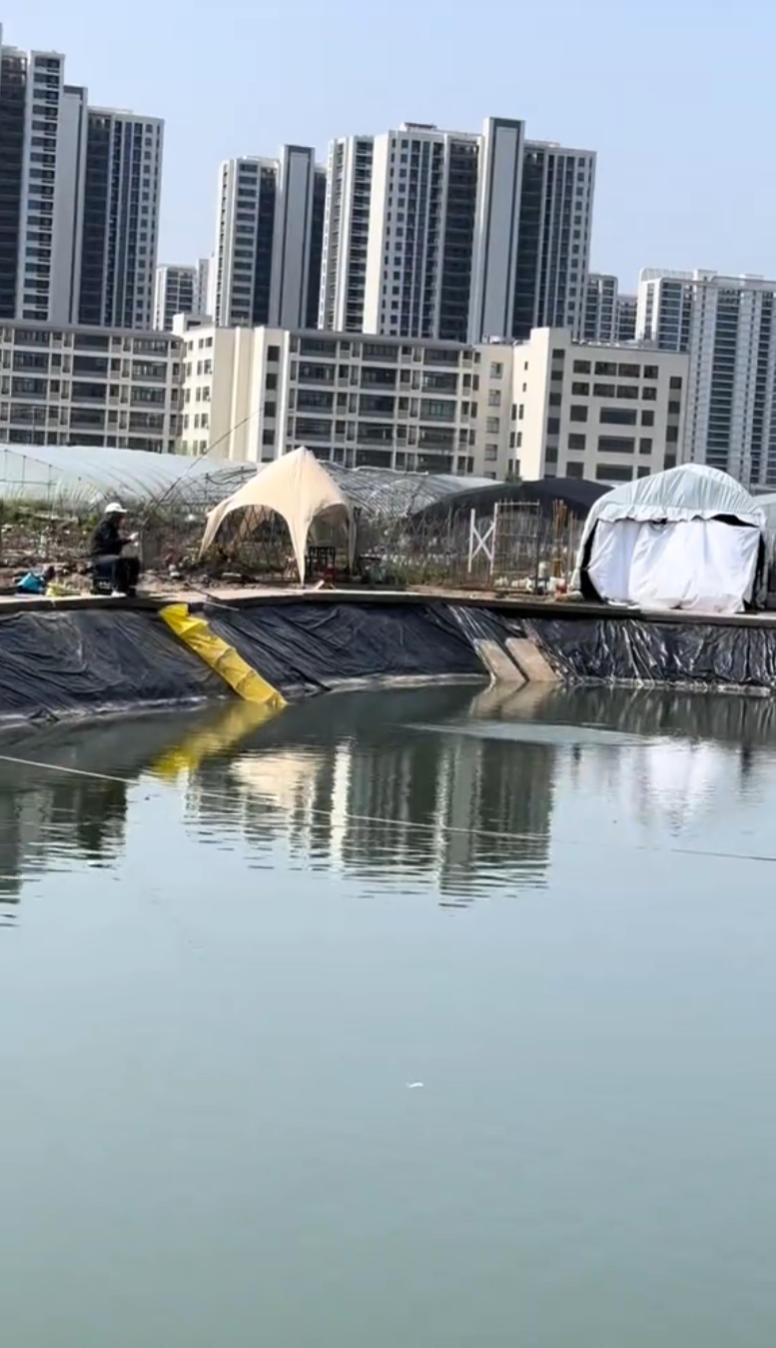 九乔钓场钓场环境照片
