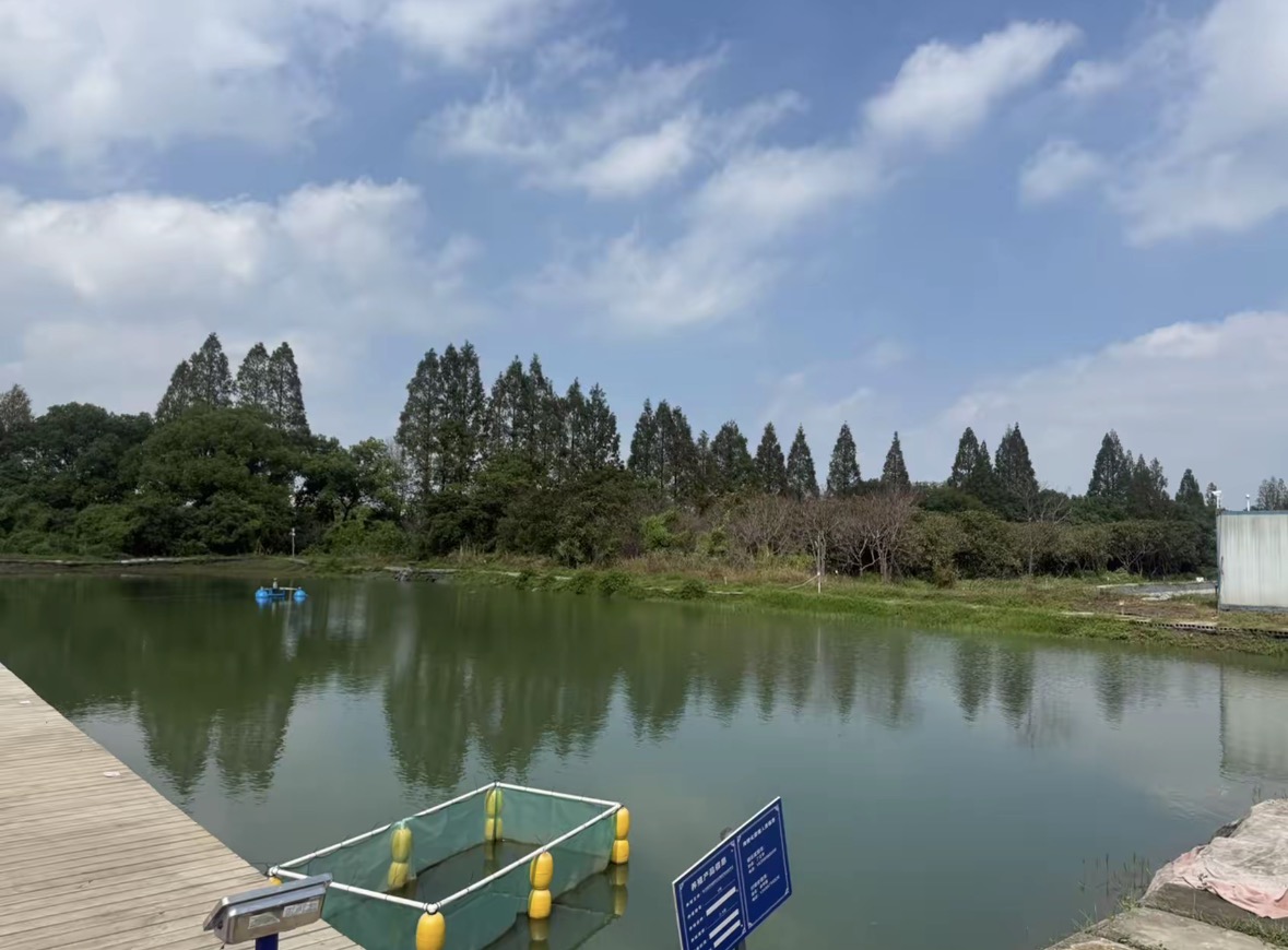 金点东方红垂钓场钓场环境缩略图