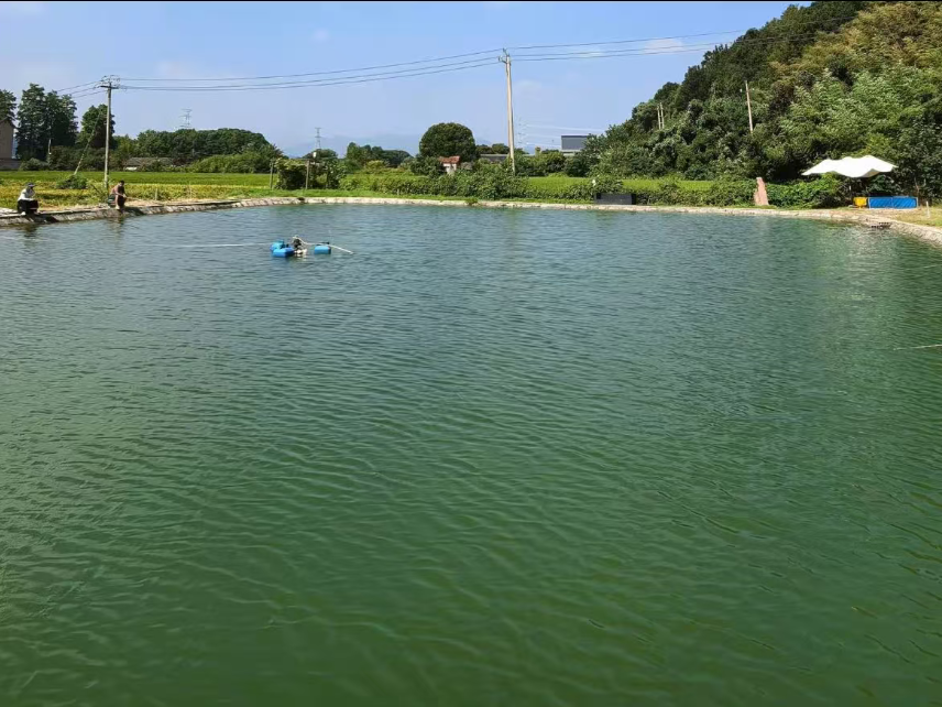 禾风生态垂钓园钓场环境缩略图