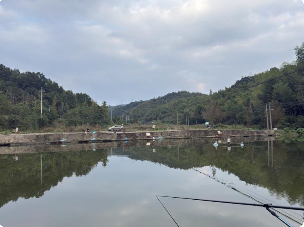 杭州余杭区百丈镇玖捌伍垂钓园钓点与钓场环境照片