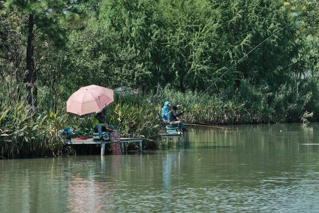 湘湖旅游度假区-湘湖垂钓区钓场环境缩略图