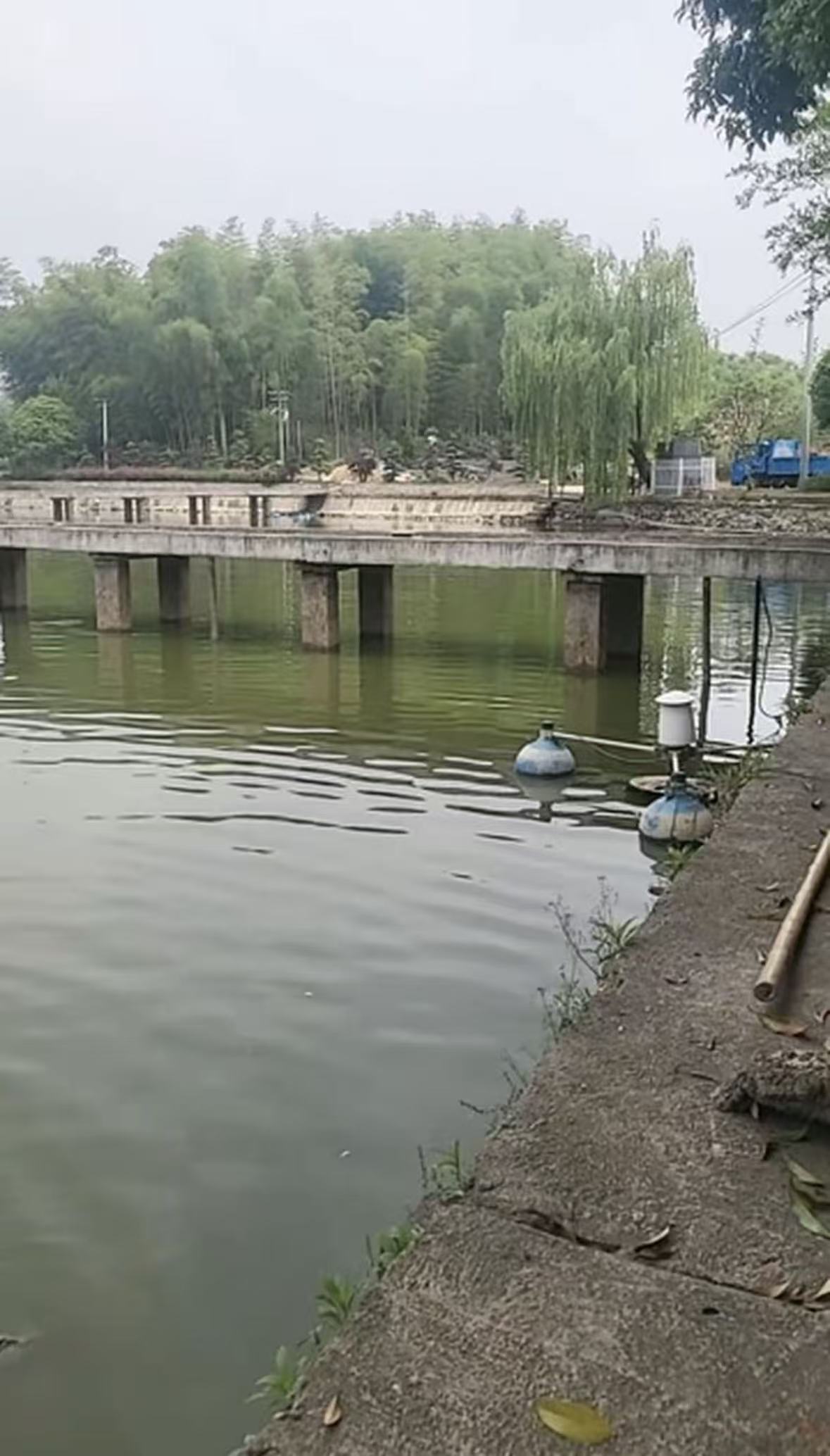 杨梅湾农场钓场环境缩略图