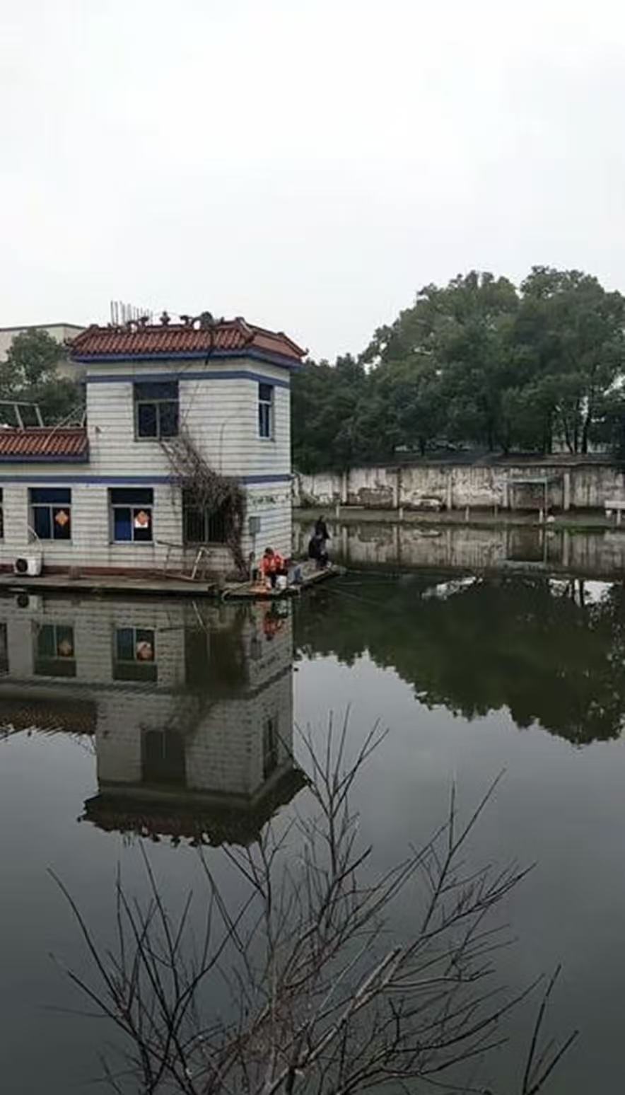 汤家钓鱼垂钓中心钓场环境缩略图