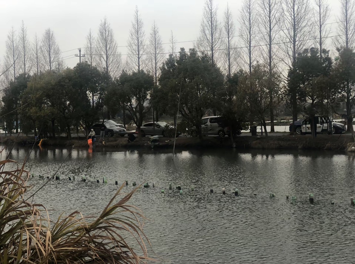 德清鱼跃钓场钓场环境缩略图