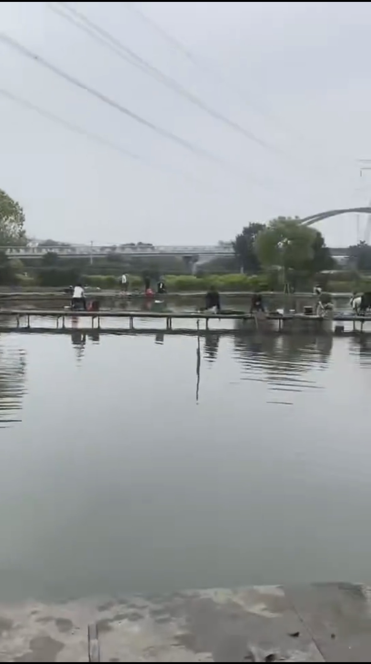 钓鱼岛休闲钓场钓场环境照片