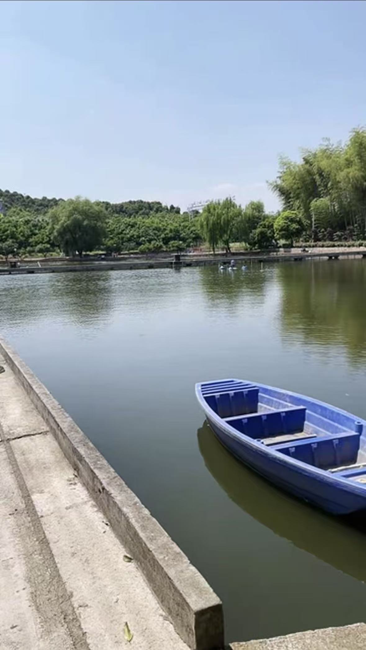 杨梅湾农场钓场环境缩略图