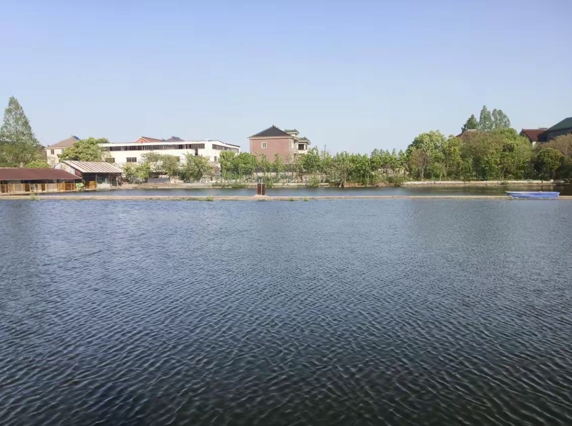 简歌大物垂钓中心钓场环境缩略图